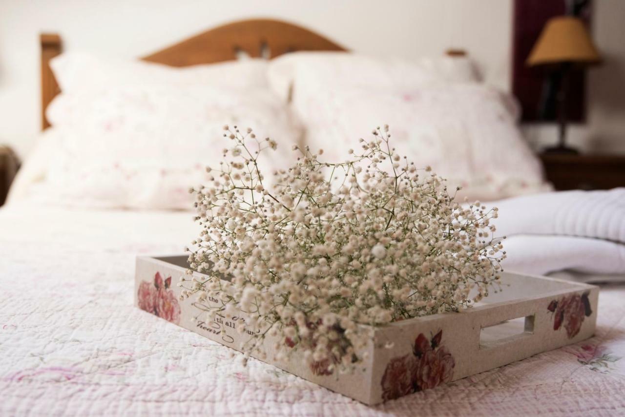 Apartamento 2 4/6 Pax Casa Rural El Sauce. A 2,5 Km De Cuenca Capital Nohales Eksteriør billede